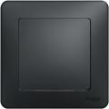 Sedna rocker switch (anthracite)